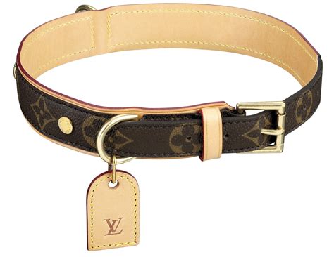 dog bag louis vuitton|Louis Vuitton collar for dog.